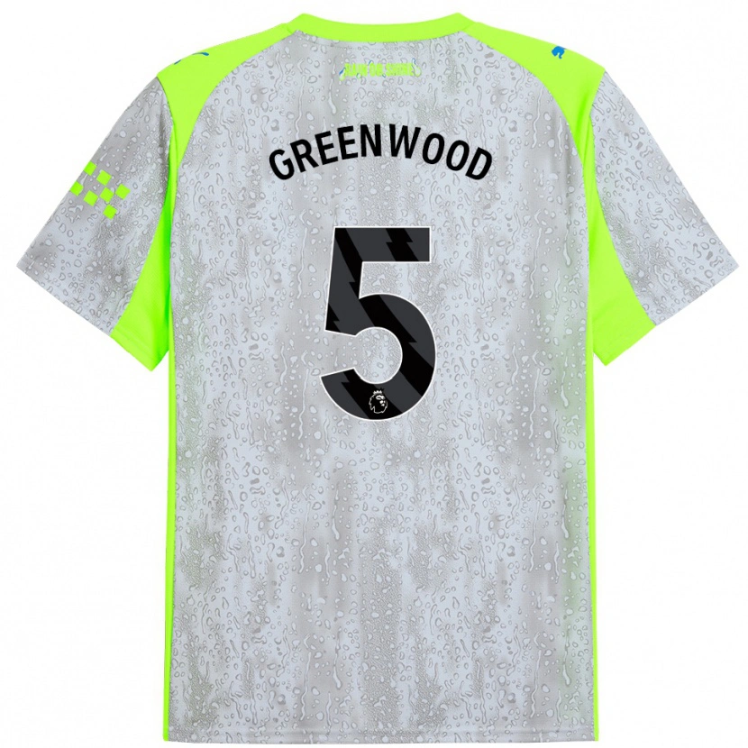 Danxen Bambino Maglia Alex Greenwood #5 Grigio Giallo Kit Gara Third 2025/26 Maglietta