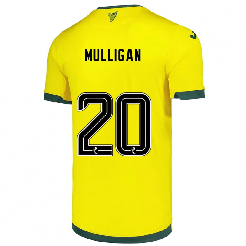 Danxen Bambino Maglia Josh Mulligan #20 Giallo Verde Kit Gara Away 2025/26 Maglietta