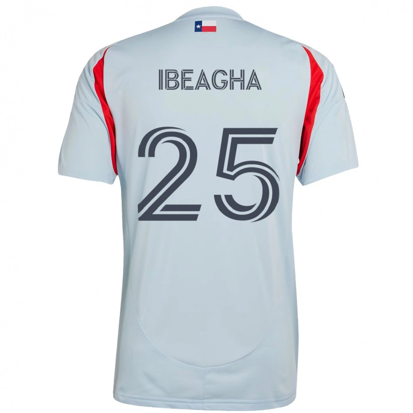 Danxen Bambino Maglia Sebastien Ibeagha #25 Azzurro Chiaro Rosso Kit Gara Away 2025/26 Maglietta
