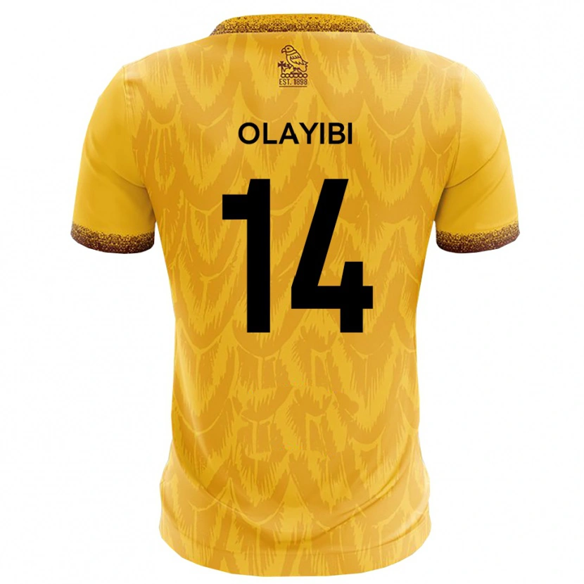 Danxen Bambino Maglia Daniel Olayibi #14 Giallo Marrone Kit Gara Home 2025/26 Maglietta