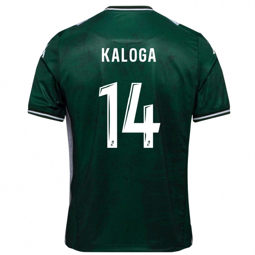 Danxen Bambino Maglia Amallah Kaloga #14 Verde Bianco Kit Gara Home 2025/26 Maglietta