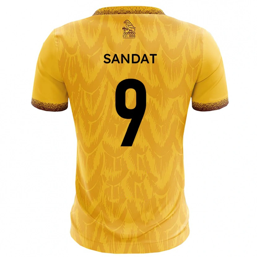 Danxen Uomo Maglia Henry Sandat #9 Giallo Marrone Kit Gara Home 2025/26 Maglietta