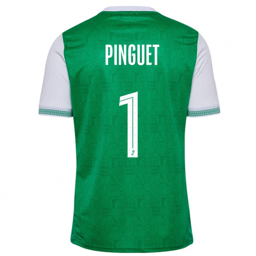 Danxen Uomo Maglia Alice Pinguet #1 Verde Bianco Kit Gara Home 2025/26 Maglietta