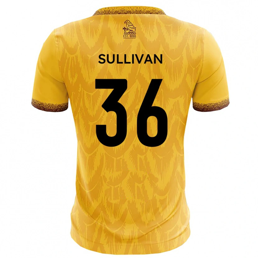 Danxen Donna Maglia Cameron Sullivan #36 Giallo Marrone Kit Gara Home 2025/26 Maglietta