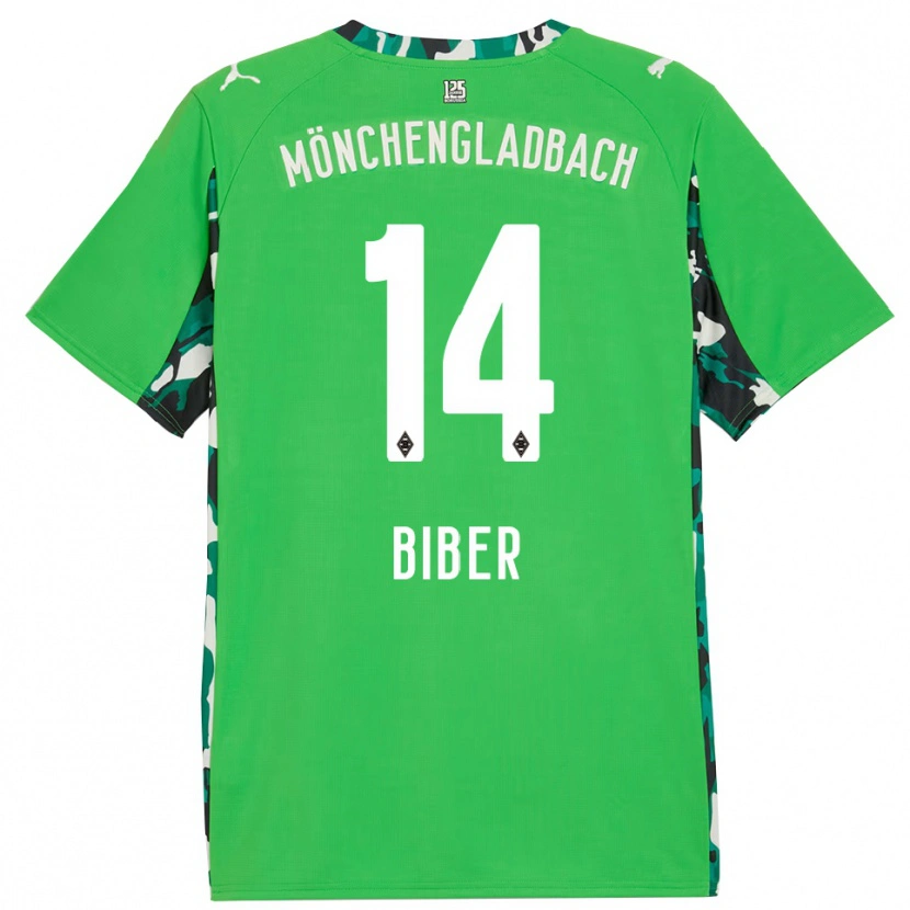 Danxen Uomo Maglia Edin Biber #14 Verde Nero Kit Gara Away 2025/26 Maglietta