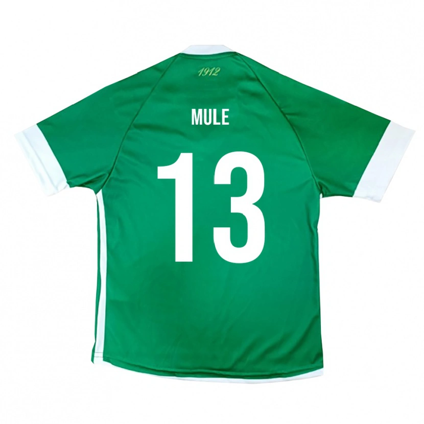 Danxen Uomo Maglia Erasmo Mulè #13 Verde Bianco Kit Gara Home 2025/26 Maglietta