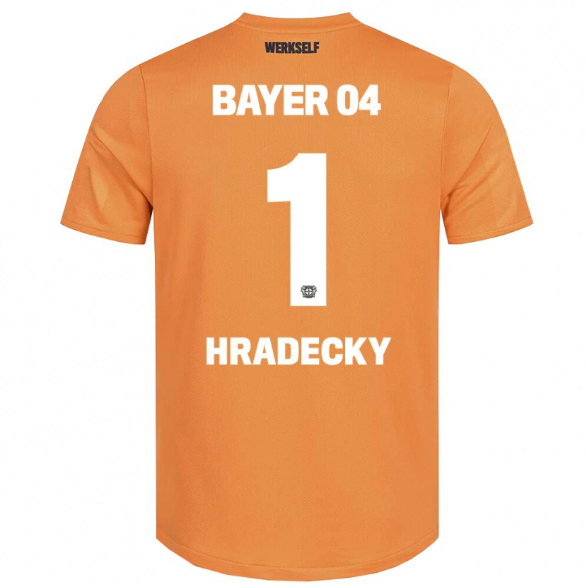 Danxen Bambino Lukas Hradecky #1 Maglia Gara Portiere Marrone Sabbia 2025/26 Maglietta