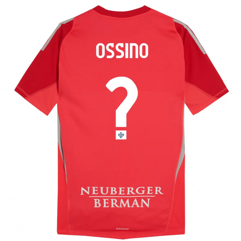 Danxen Bambino Daniel Ossino #0 Maglia Gara Portiere Grigio Rosso 2025/26 Maglietta