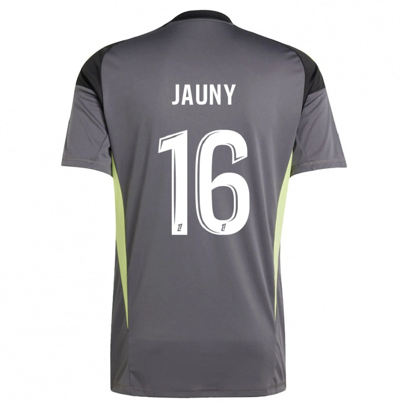 Danxen Uomo Noah Jauny #16 Maglia Gara Portiere Grigio Verde Scuro 2025/26 Maglietta
