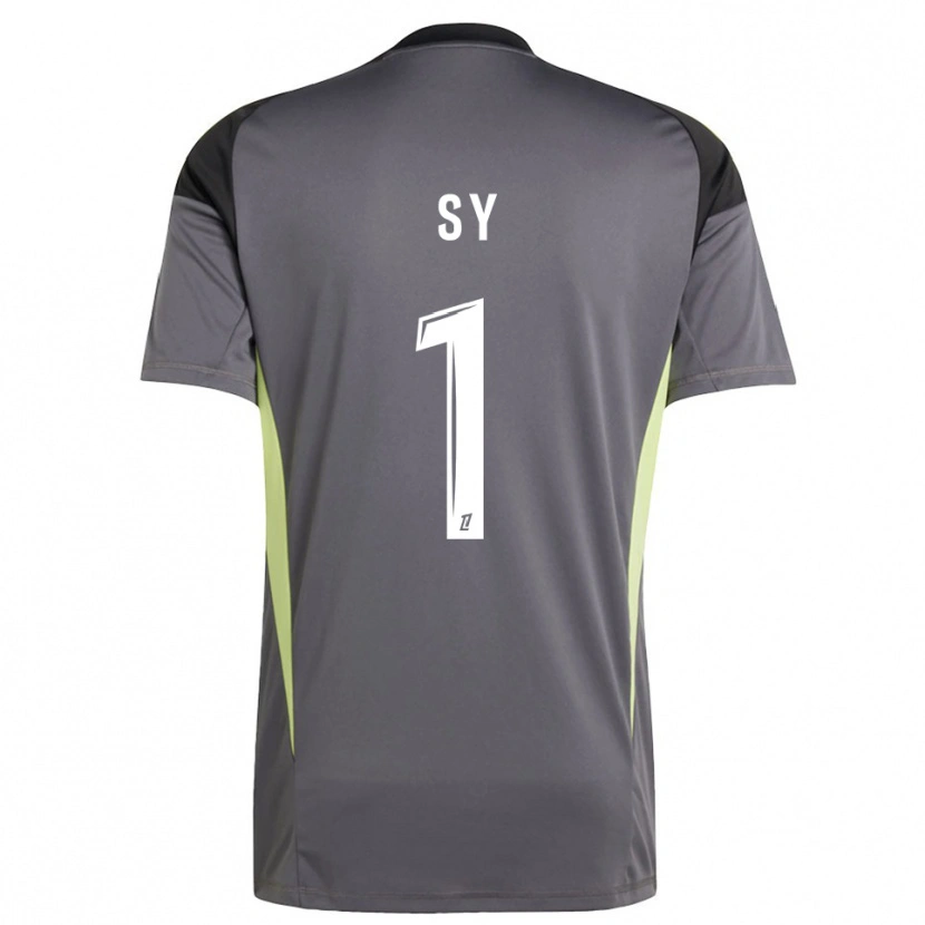 Danxen Uomo Seydou Sy #1 Maglia Gara Portiere Grigio Verde Scuro 2025/26 Maglietta