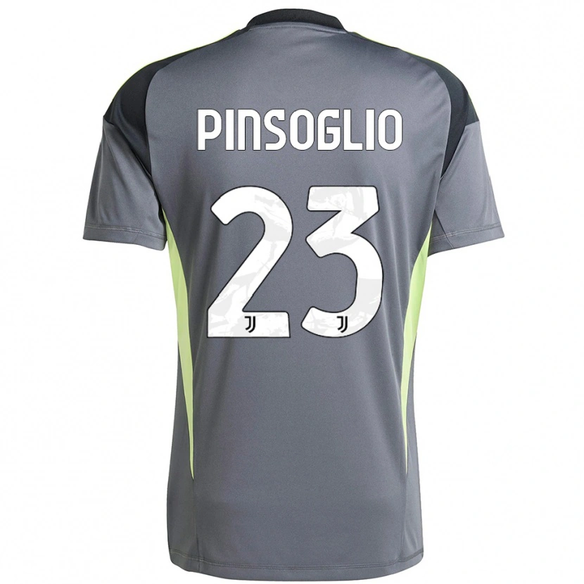 Danxen Uomo Carlo Pinsoglio #23 Maglia Gara Portiere Grigio Scuro Bianco 2025/26 Maglietta