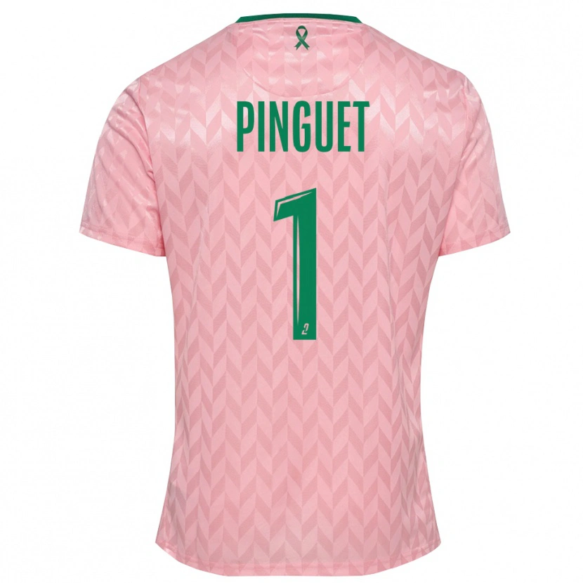 Danxen Uomo Alice Pinguet #1 Maglia Gara Portiere Verde Rosa 2025/26 Maglietta