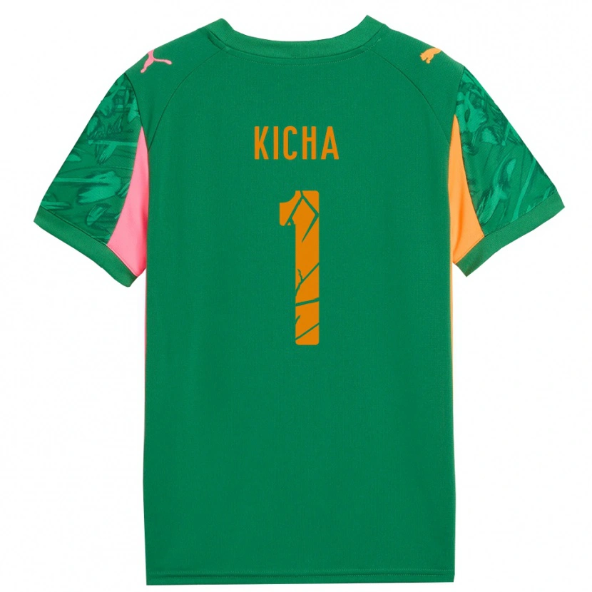 Danxen Donna Tymofiy Kicha #1 Maglia Gara Portiere Verde Arancio Rosa 2025/26 Maglietta