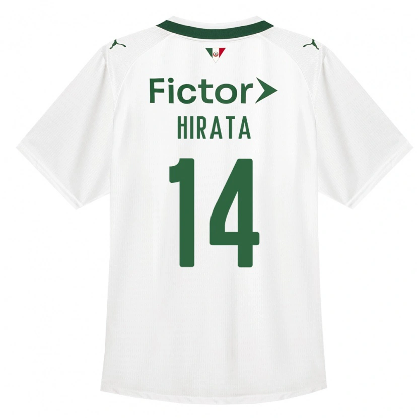 Danxen Uomo Maglia Bruna Hirata #14 Verde Bianco Kit Gara Away 2026/27 Maglietta