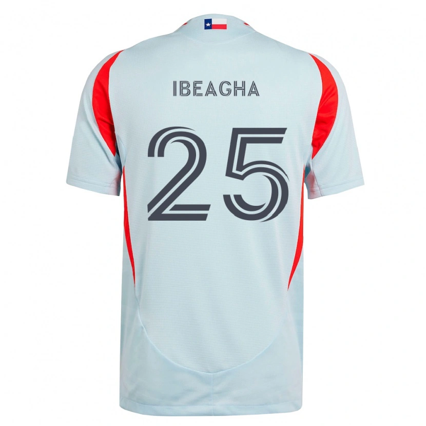 Danxen Bambino Maglia Sebastien Ibeagha #25 Grigio Scuro Bianco Rosso Kit Gara Away 2026/27 Maglietta