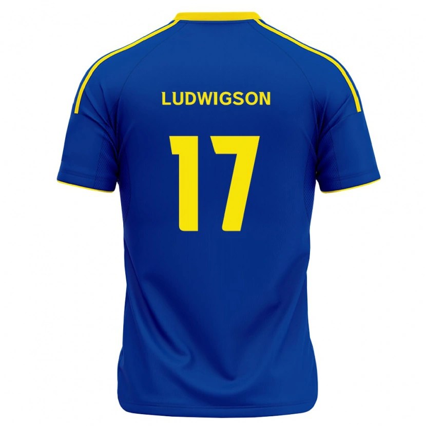 Danxen Uomo Maglia Gustav Ludwigson #17 Blu Reale Giallo Kit Gara Home 2026/27 Maglietta