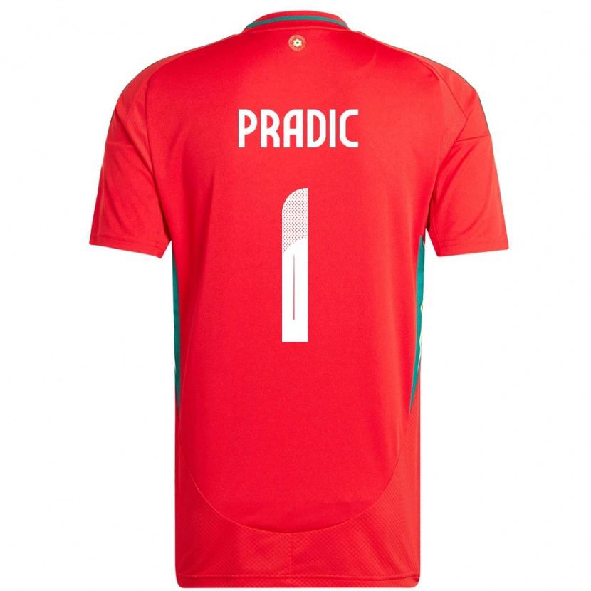Danxen Bambino Maglia Galles James Pradic #1 Rosso Kit Gara Home 24-26 Maglietta