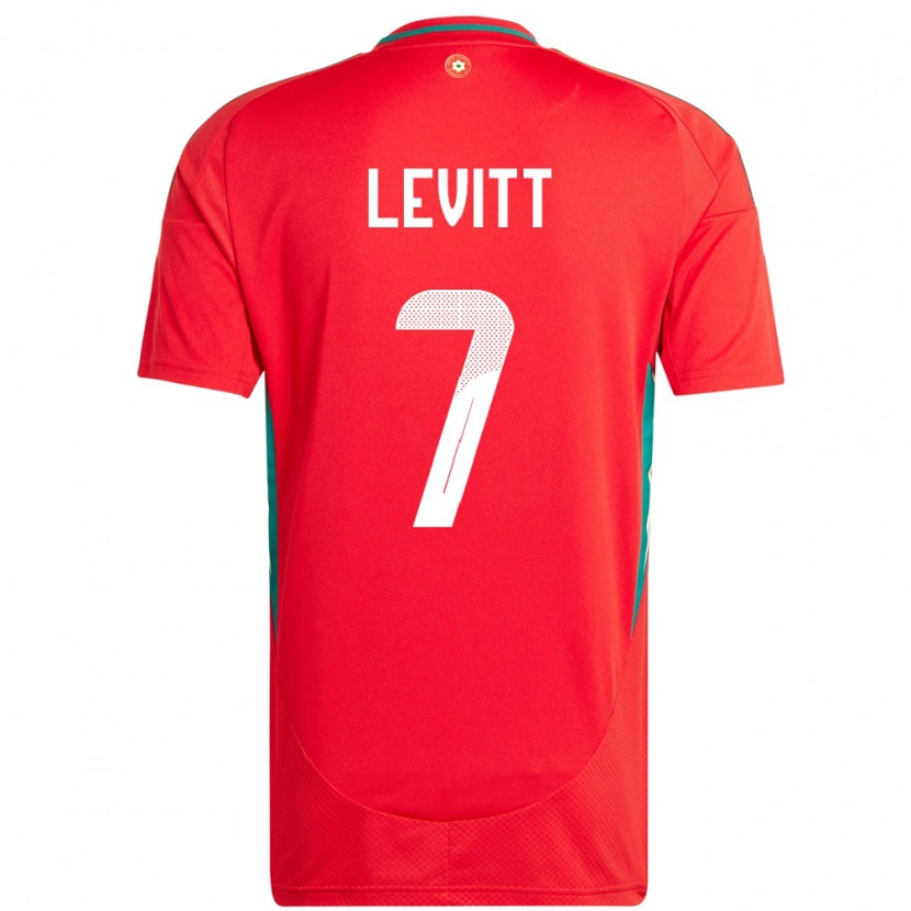Danxen Bambino Maglia Galles Dylan Levitt #7 Rosso Kit Gara Home 24-26 Maglietta