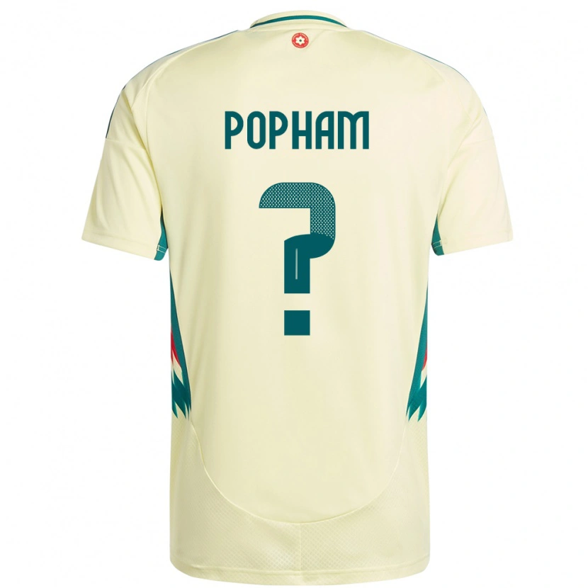 Danxen Bambino Maglia Galles Brogan Popham #0 Beige Giallo Kit Gara Away 24-26 Maglietta