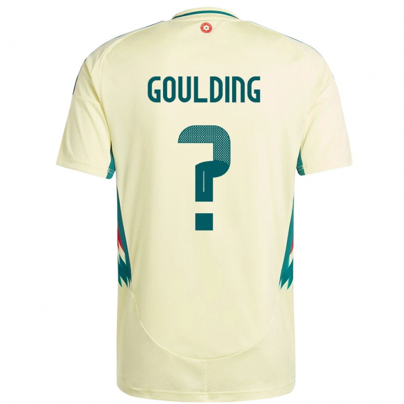 Danxen Bambino Maglia Galles Dan Goulding #0 Beige Giallo Kit Gara Away 24-26 Maglietta