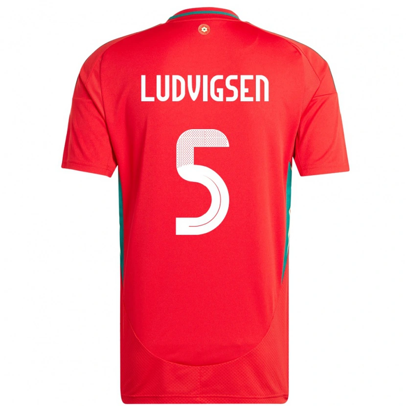 Danxen Uomo Maglia Galles Kai Ludvigsen #5 Rosso Kit Gara Home 24-26 Maglietta