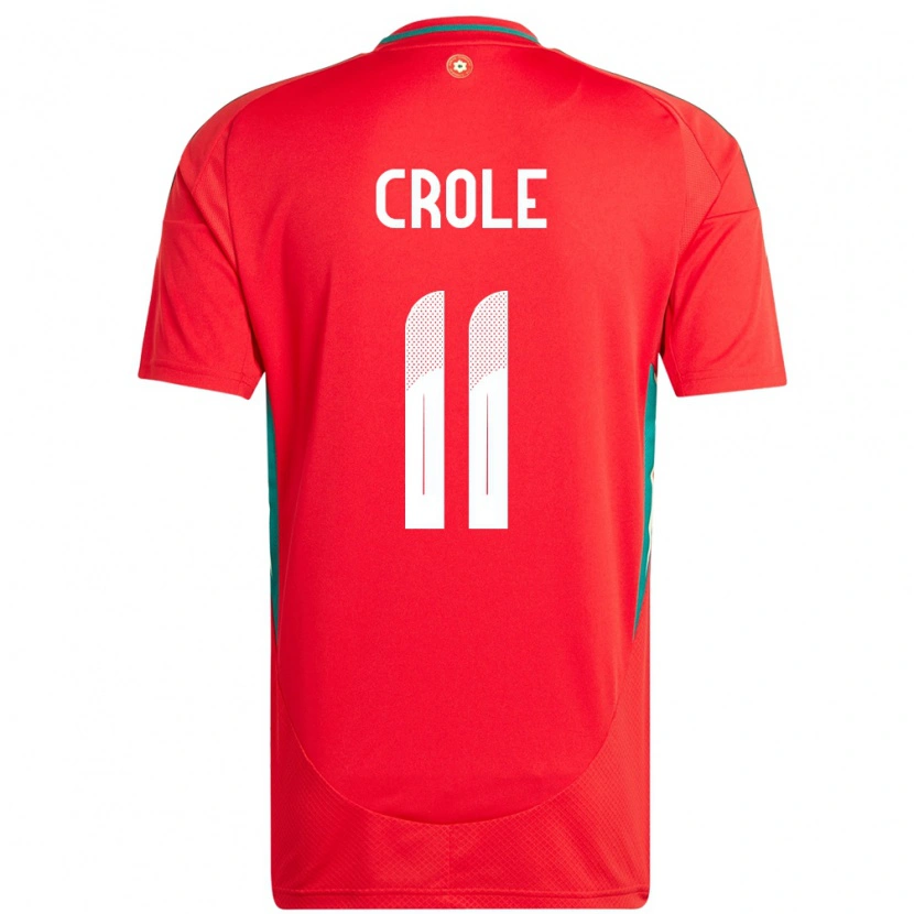 Danxen Uomo Maglia Galles James Crole #11 Rosso Kit Gara Home 24-26 Maglietta