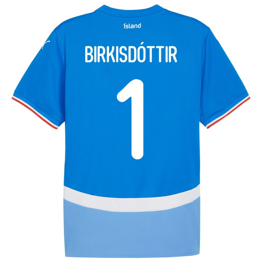 Danxen Uomo Maglia Islanda Fanney Inga Birkisdóttir #1 Blu Kit Gara Home 24-26 Maglietta