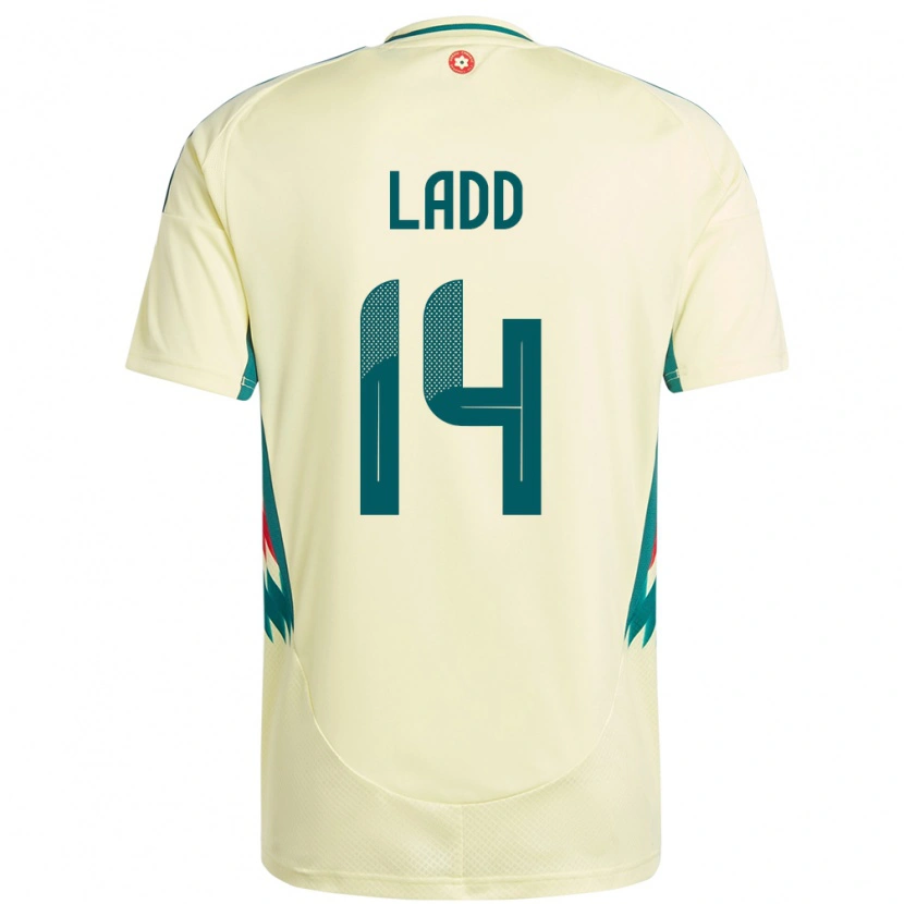 Danxen Uomo Maglia Galles Hayley Ladd #14 Beige Giallo Kit Gara Away 24-26 Maglietta
