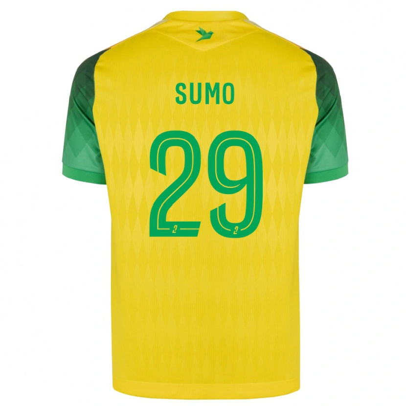 Danxen Uomo Maglia Eva Sumo #29 Giallo Verde Rosso Kit Gara Home 2026/27 Maglietta