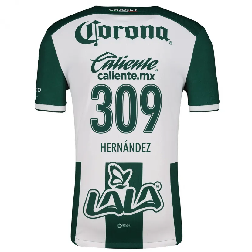 Danxen Uomo Maglia Julio Hernández #309 Verde Bianco Kit Gara Home 2024/25 Maglietta