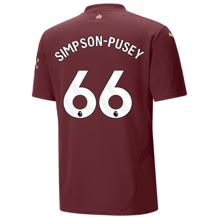 Danxen Bambino Maglia Jahmai Simpson-Pusey #66 Marrone Kit Gara Third 2024/25 Maglietta
