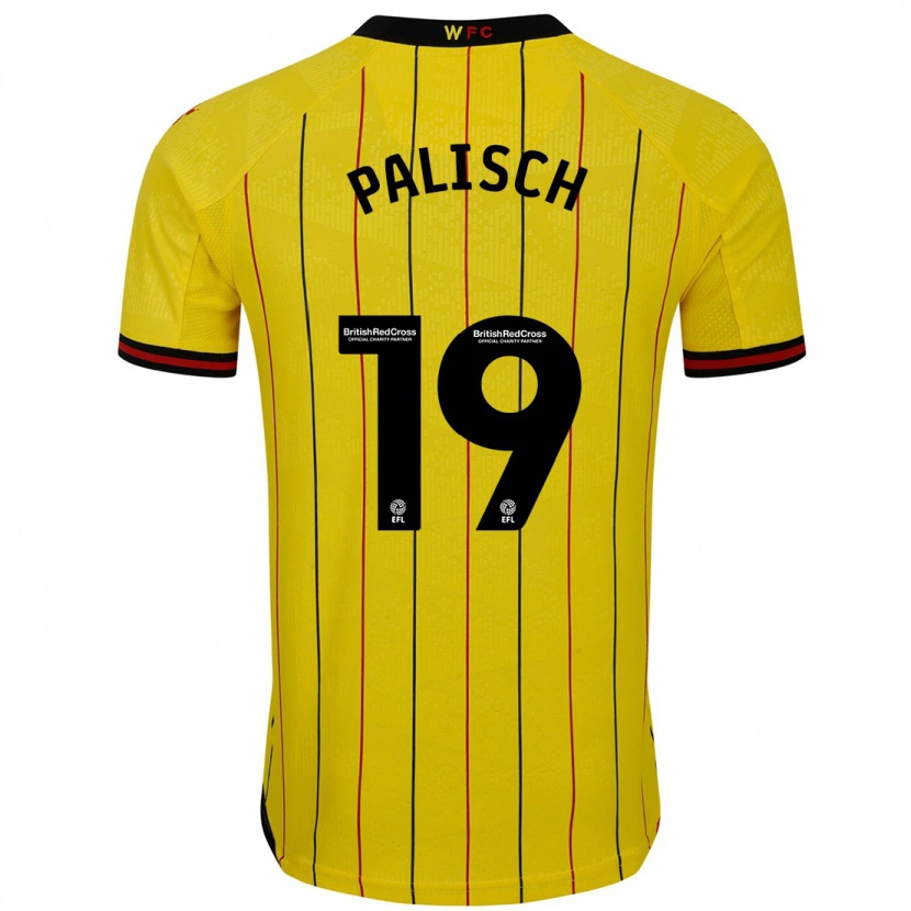 Danxen Uomo Maglia Alli Palisch #19 Giallo Nero Kit Gara Home 2024/25 Maglietta