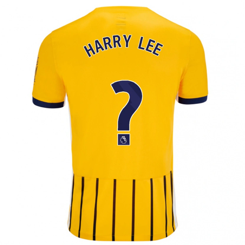 Danxen Donna Maglia Harry Lee #0 Oro Blu A Righe Sottili Kit Gara Away 2024/25 Maglietta