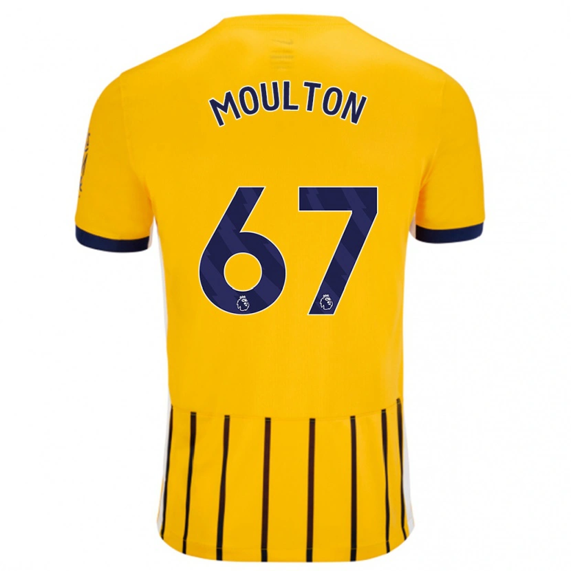Danxen Donna Maglia Remiero Moulton #67 Oro Blu A Righe Sottili Kit Gara Away 2024/25 Maglietta