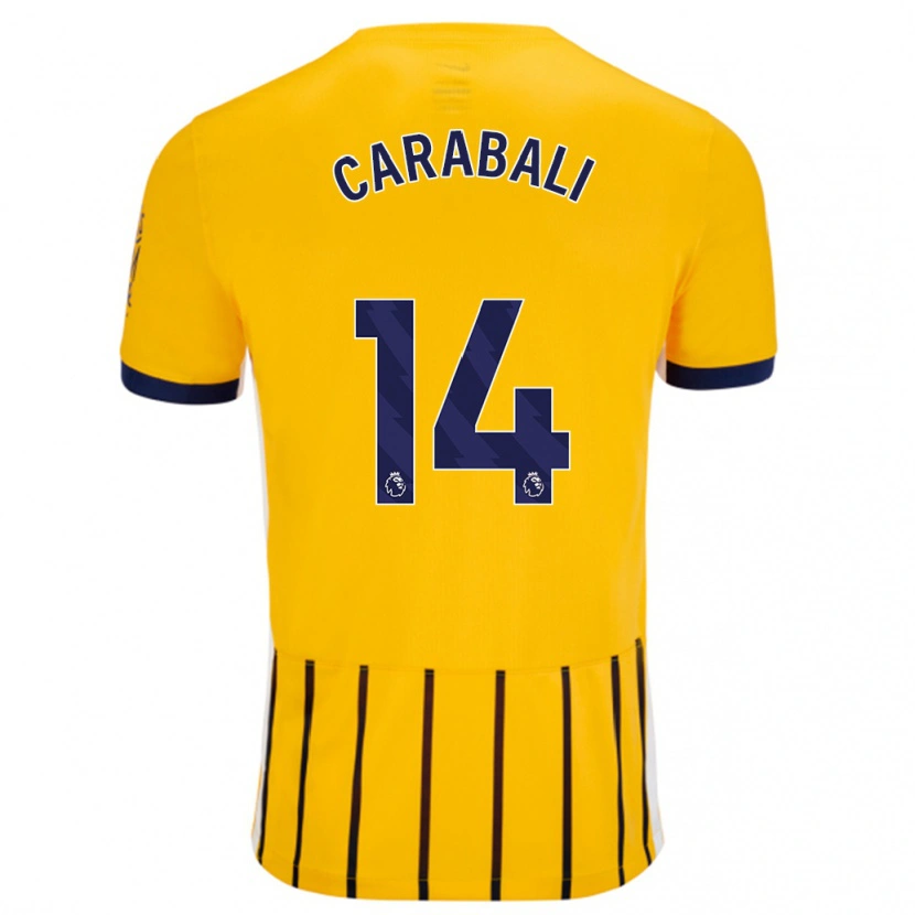 Danxen Donna Maglia Jorelyn Carabalí #14 Oro Blu A Righe Sottili Kit Gara Away 2024/25 Maglietta