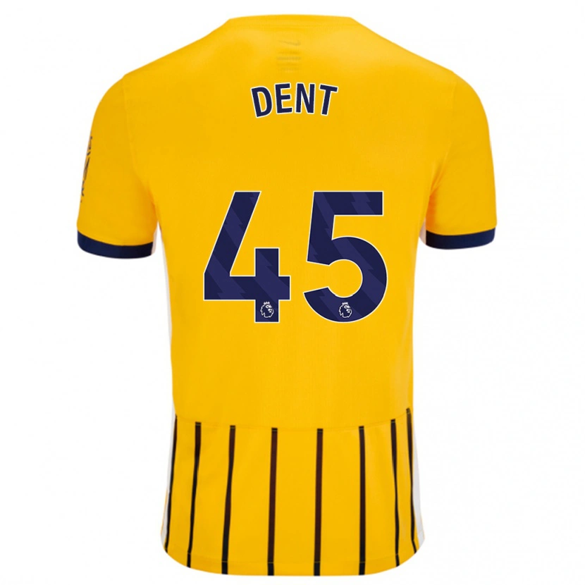 Danxen Donna Maglia Lily Dent #45 Oro Blu A Righe Sottili Kit Gara Away 2024/25 Maglietta