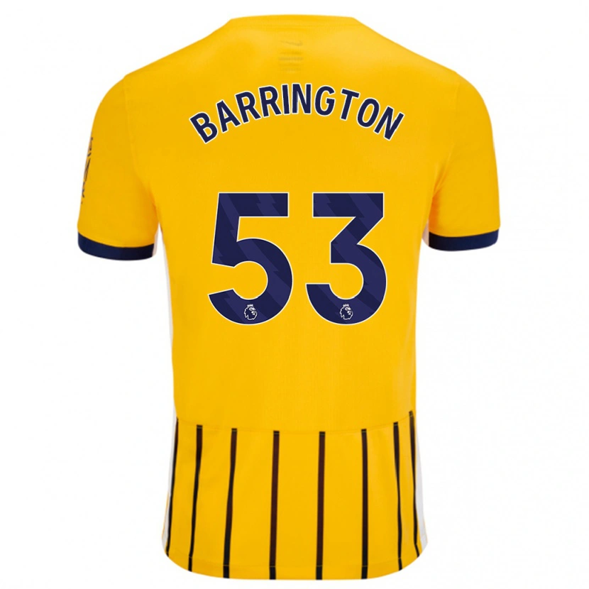 Danxen Donna Maglia Luca Barrington #53 Oro Blu A Righe Sottili Kit Gara Away 2024/25 Maglietta