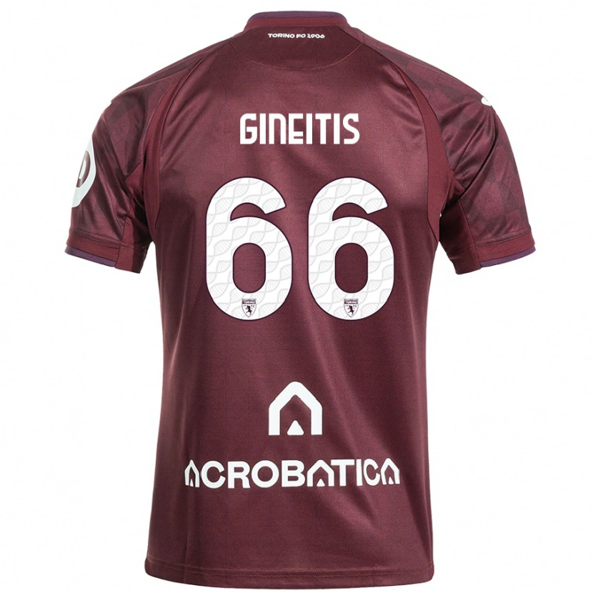 Danxen Bambino Maglia Gvidas Gineitis #66 Marrone Bianco Kit Gara Home 2024/25 Maglietta