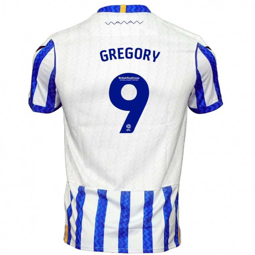 Danxen Uomo Maglia Lee Gregory #9 Blu Bianco Kit Gara Home 2024/25 Maglietta