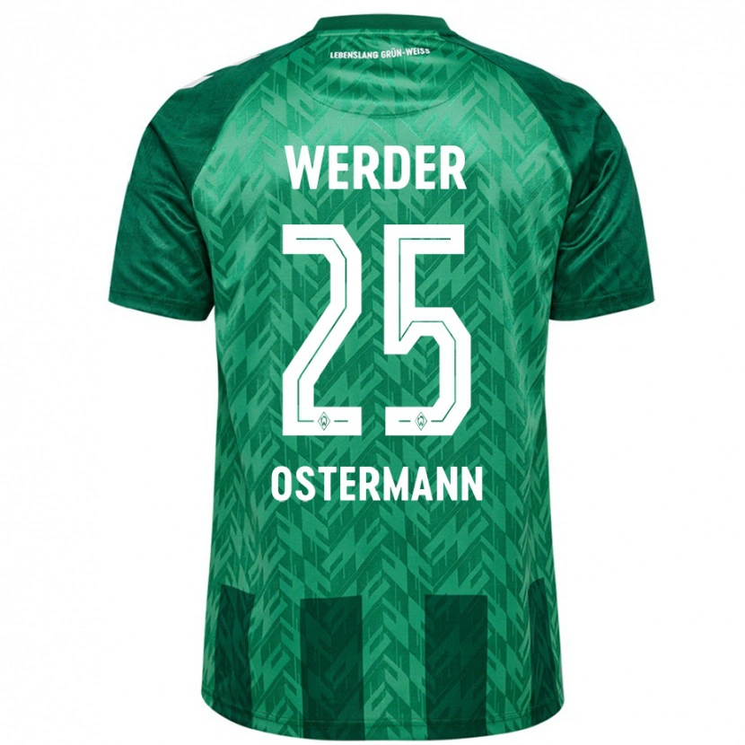 Danxen Uomo Maglia Ben Ostermann #25 Verde Kit Gara Home 2024/25 Maglietta