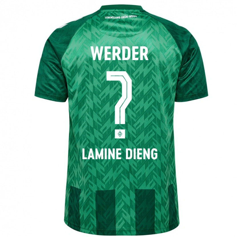 Danxen Donna Maglia Mamadou Lamine Dieng #0 Verde Kit Gara Home 2024/25 Maglietta